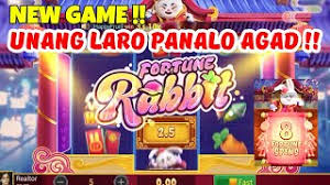 hack do fortune rabbit