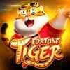 fortune tiger horario ícone